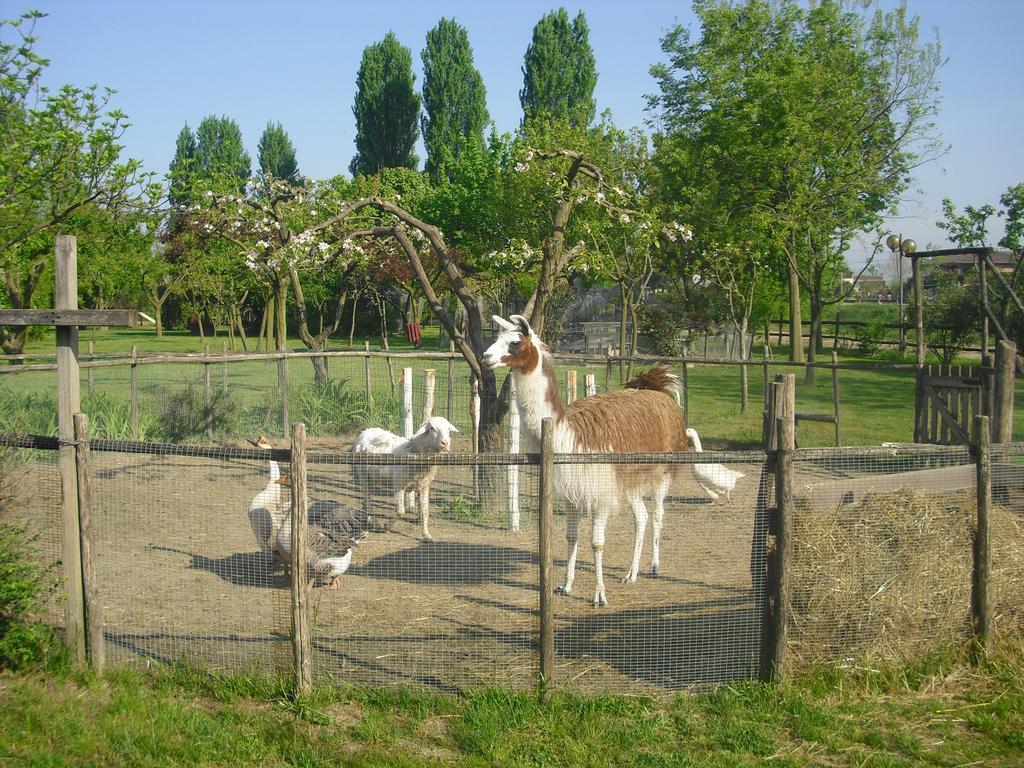 Agriturismo La Penisola Pensionat Campo San Martino Exteriör bild